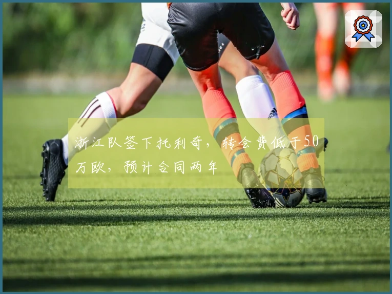 浙江队签下托利奇，转会费低于50万欧，预计合同两年