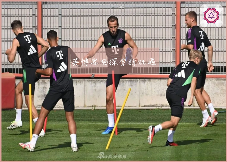 英博客场探索新机遇