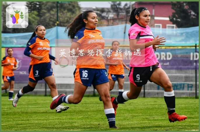 英博客场探索新机遇